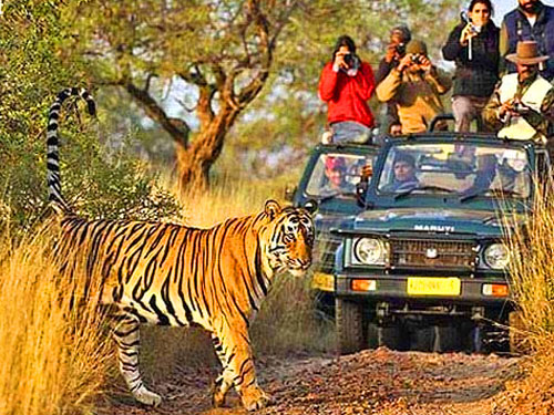 Pawalgarh Eco-Tourism Zone