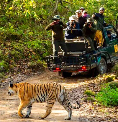 Dhikala Tour package